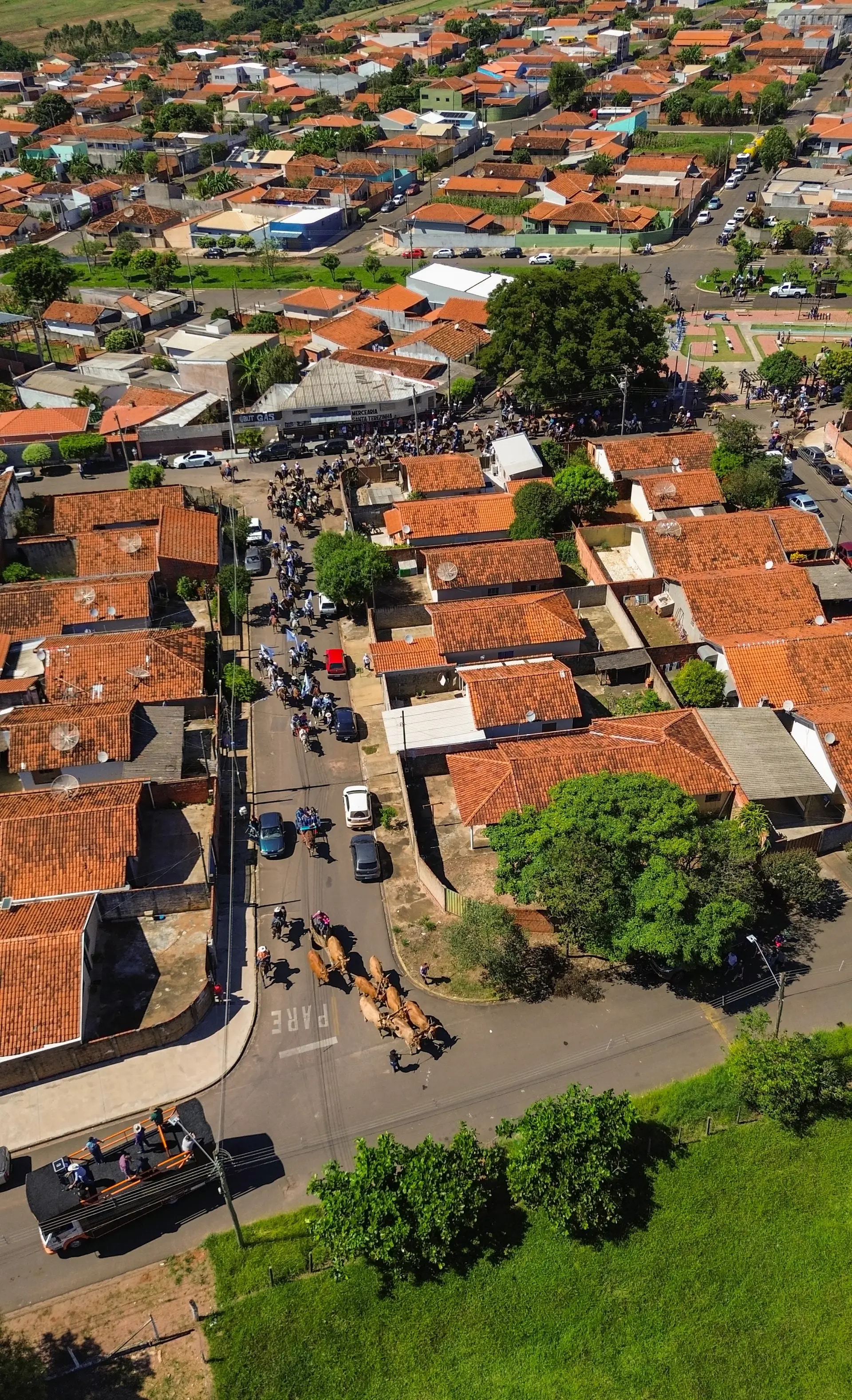 Desfile dos Cavaleiros 2026 - foto 2
