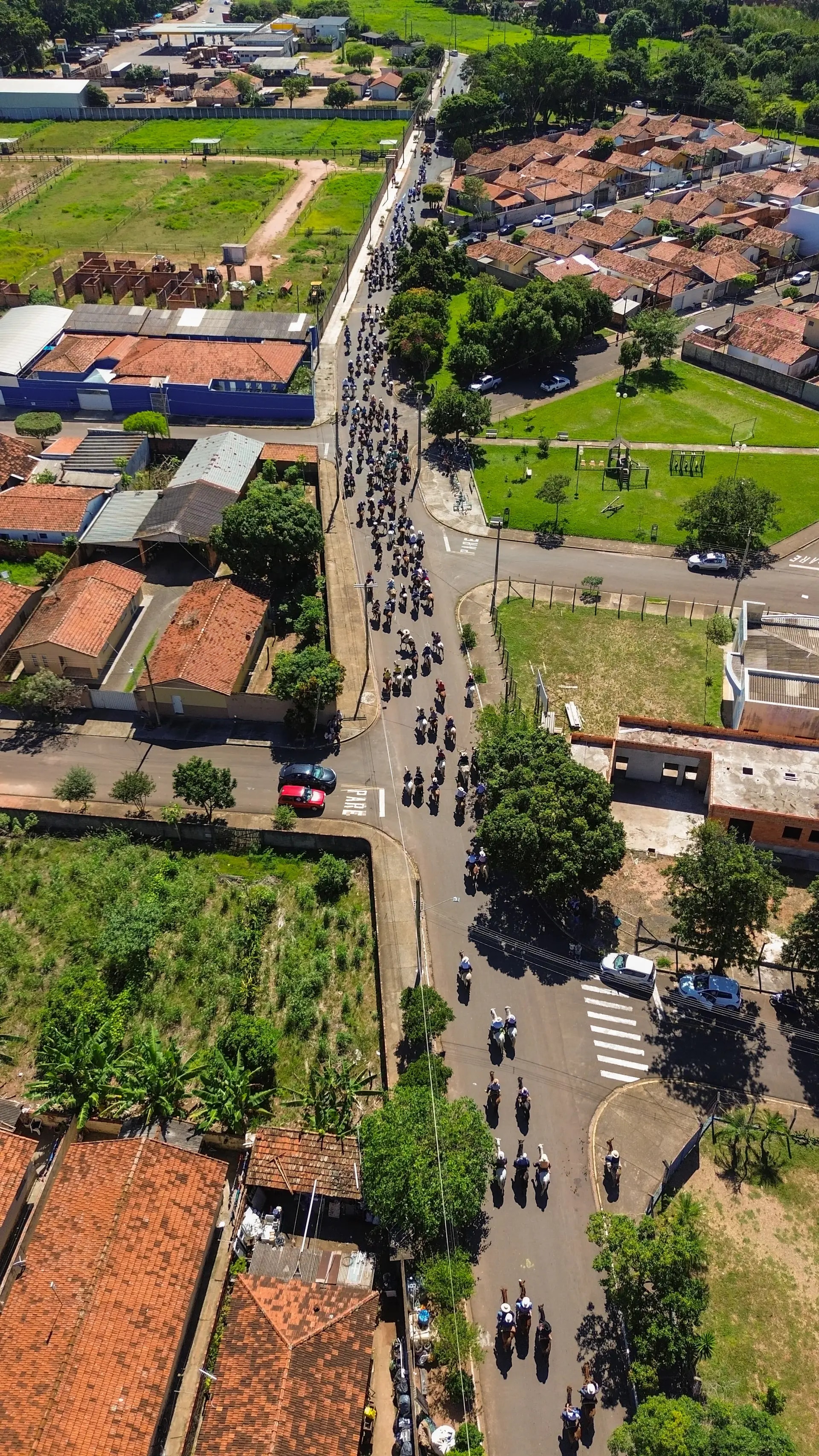 Desfile dos Cavaleiros 2026 - foto 7