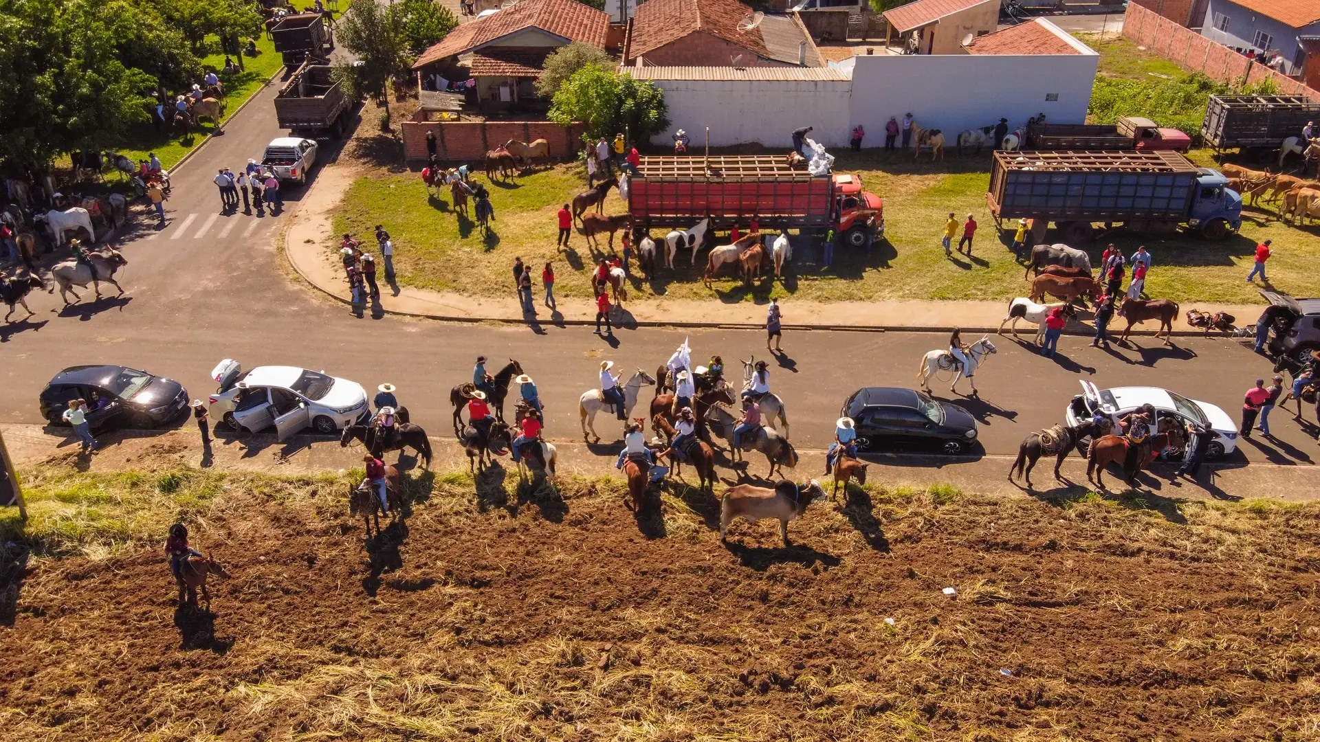 Desfile dos Cavaleiros 2026 - foto 17