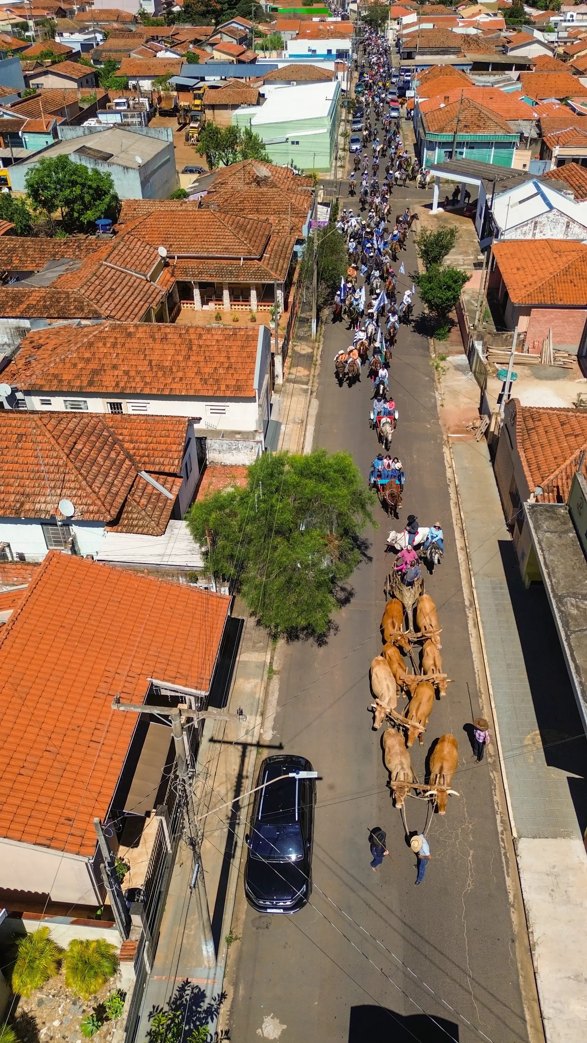 Desfile dos Cavaleiros 2026 - foto 20